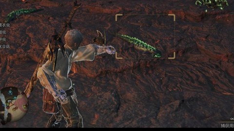 怪物猎人3怎么捕获