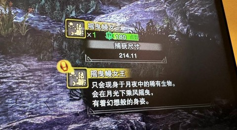 怪物猎人3怎么捕获[图1]