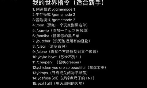 我的世界有什么好玩的指令[图2]