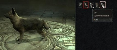 暗黑破坏神宠物怎么带