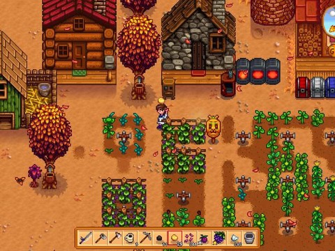 星露谷物语秋天种什么