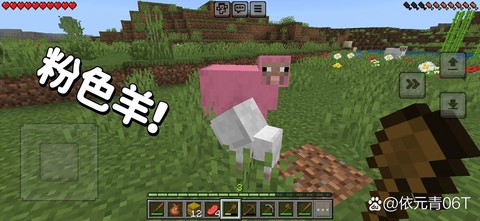 我的世界羊怎么繁殖