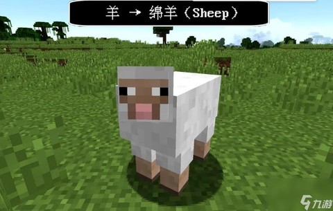我的世界羊怎么繁殖[图2]