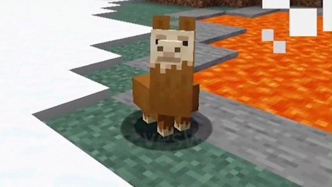 我的世界羊驼吃什么食物