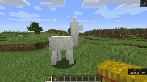 我的世界羊驼吃什么食物[图1]