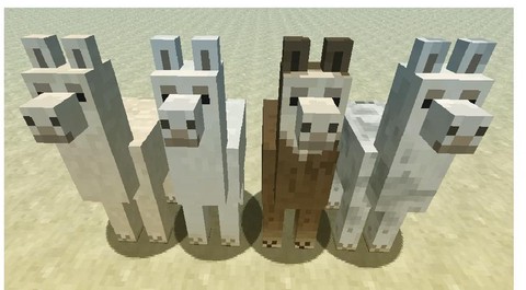 我的世界羊驼吃什么食物[图2]